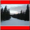 hofalm_speikkg_02-07_05.jpg
