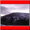 hofalm_speikkg_02-07_11.jpg