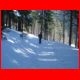leobner_mauer_02-07_01.jpg