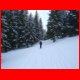tonion_02-07_13.jpg