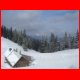 tonion_02-07_18.jpg
