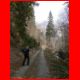 leobner_03-07_02.jpg