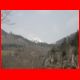 leobner_03-07_03.jpg
