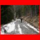 leobner_03-07_11.jpg
