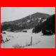 leobner_03-07_13.jpg