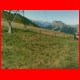 griesmauer08-07_27.jpg