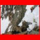 matterhorn_tag2_09-07_26.jpg