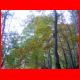 reichenstein_09-07_29.jpg