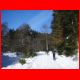 wildfeld_schnee_12-07_03.jpg
