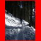 wildfeld_schnee_12-07_04.jpg