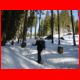 wildfeld_schnee_12-07_05.jpg