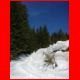 wildfeld_schnee_12-07_06.jpg