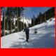 wildfeld_schnee_12-07_07.jpg