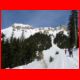 wildfeld_schnee_12-07_08.jpg