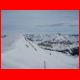 wildfeld_schnee_12-07_23.jpg