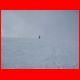 wildfeld_schnee_12-07_24.jpg