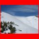 leobner_04-08_22.jpg