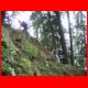 grete_klinger_05-08_07.jpg