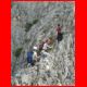 grete_klinger_05-08_28.jpg