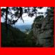 seekopf_06-08_11.jpg