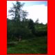 hohenwart_07-08_13.jpg