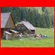 hohenwart_07-08_37.jpg