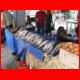 pik_lenin_2008_021.JPG