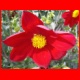 pik_lenin_2008_046.JPG