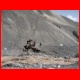 pik_lenin_2008_096.JPG