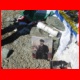 pik_lenin_2008_191.JPG