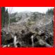scheiblingstein_10-08_08.jpg