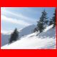03_silberling_01-09_18.jpg