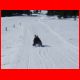 rannach_fun_run_24.jpg