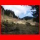 fensteralm_04-09_04.jpg