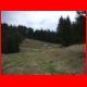 fensteralm_04-09_05.jpg
