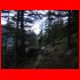 fensteralm_04-09_08.jpg