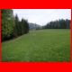 schiffall_04-09_02.jpg
