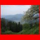 schiffall_04-09_04.jpg