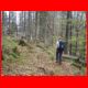 schiffall_04-09_08.jpg