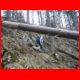 schiffall_04-09_09.jpg