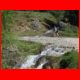 rosennock_05-09_04.jpg