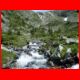 saeuleck_07-09_55.jpg