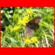 saeuleck_07-09_63.jpg