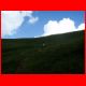 laerchkaralm_08-09_22.jpg