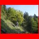jungfernsteig_09-09_12.jpg