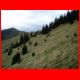 rossbachkogel_10-09_29.jpg