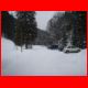 wildfeld_01-10_01.jpg