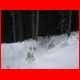 wildfeld_01-10_04.jpg