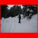 wildfeld_01-10_05.jpg
