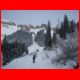 wildfeld_01-10_06.jpg